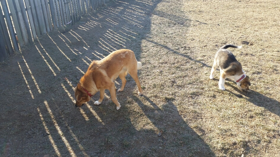 f:id:zion_hamanaka:20191210122814j:plain