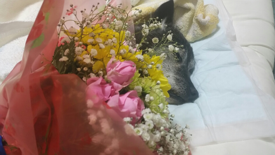 f:id:zion_hamanaka:20191226215602j:plain