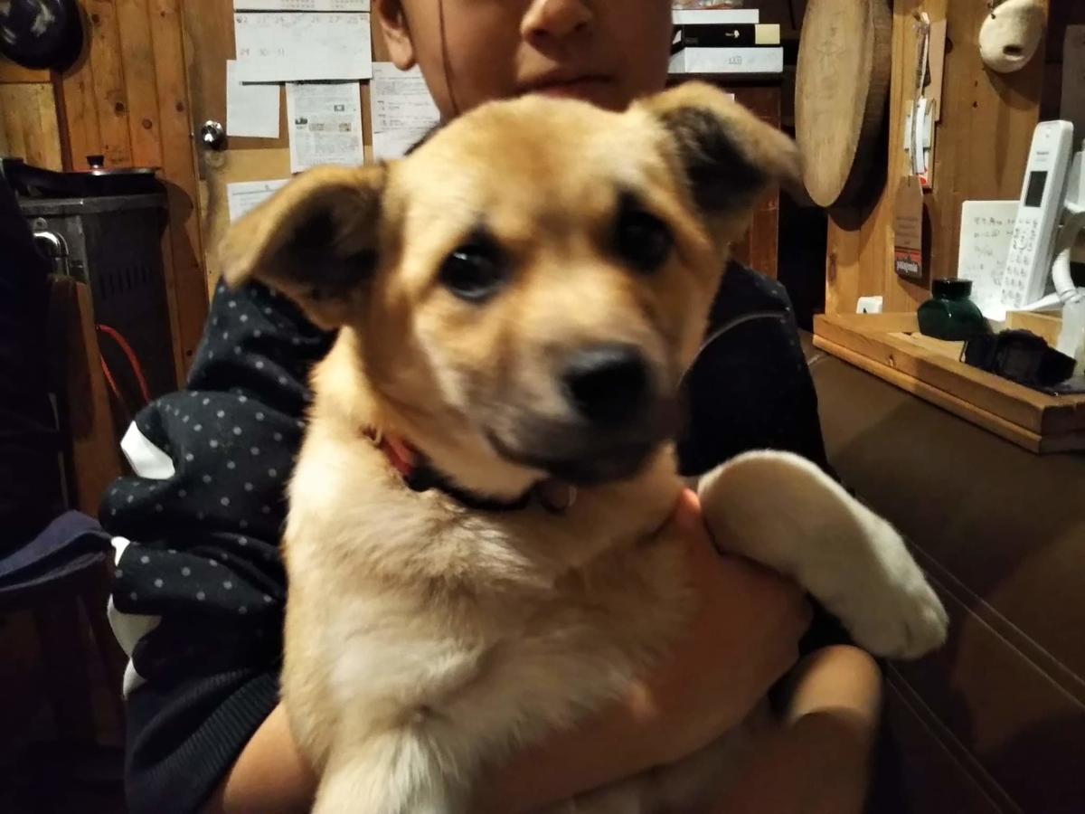 f:id:zion_hamanaka:20191228083441j:plain