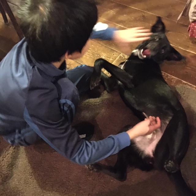 f:id:zion_hamanaka:20191229182850j:plain