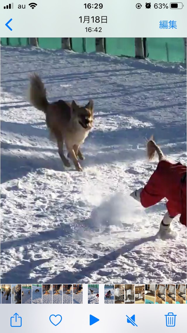 f:id:zion_hamanaka:20200217144524j:plain