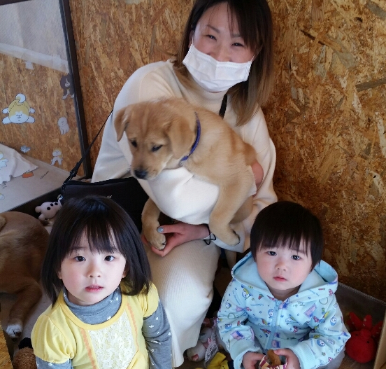 f:id:zion_hamanaka:20200310203822j:plain f:id:zion_hamanaka:20200310203822j:plain