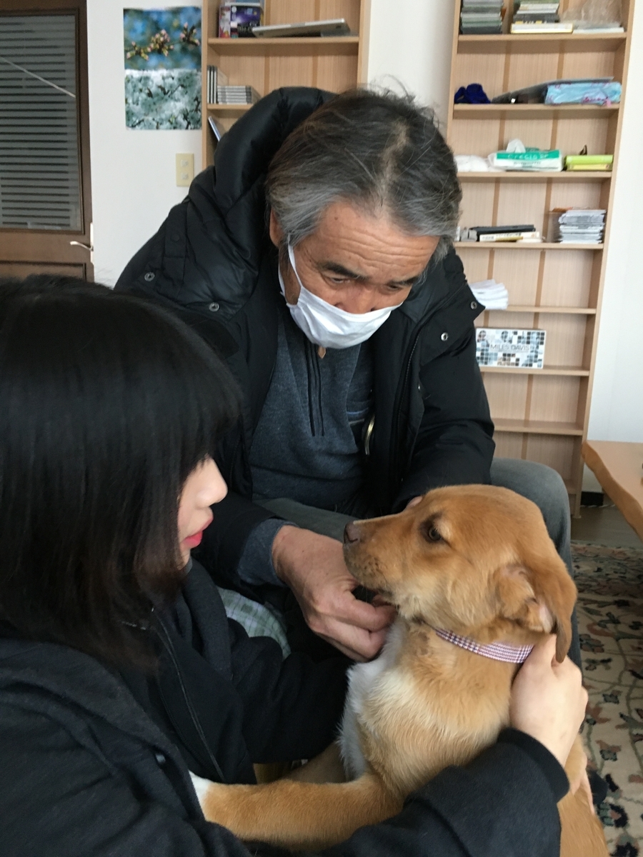 f:id:zion_hamanaka:20200315164126j:plain