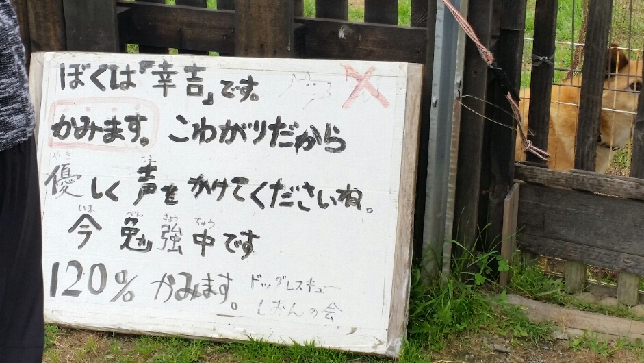 f:id:zion_hamanaka:20200317150915j:plain