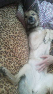 f:id:zion_hamanaka:20200318080118j:plain f:id:zion_hamanaka:20200318080118j:plain