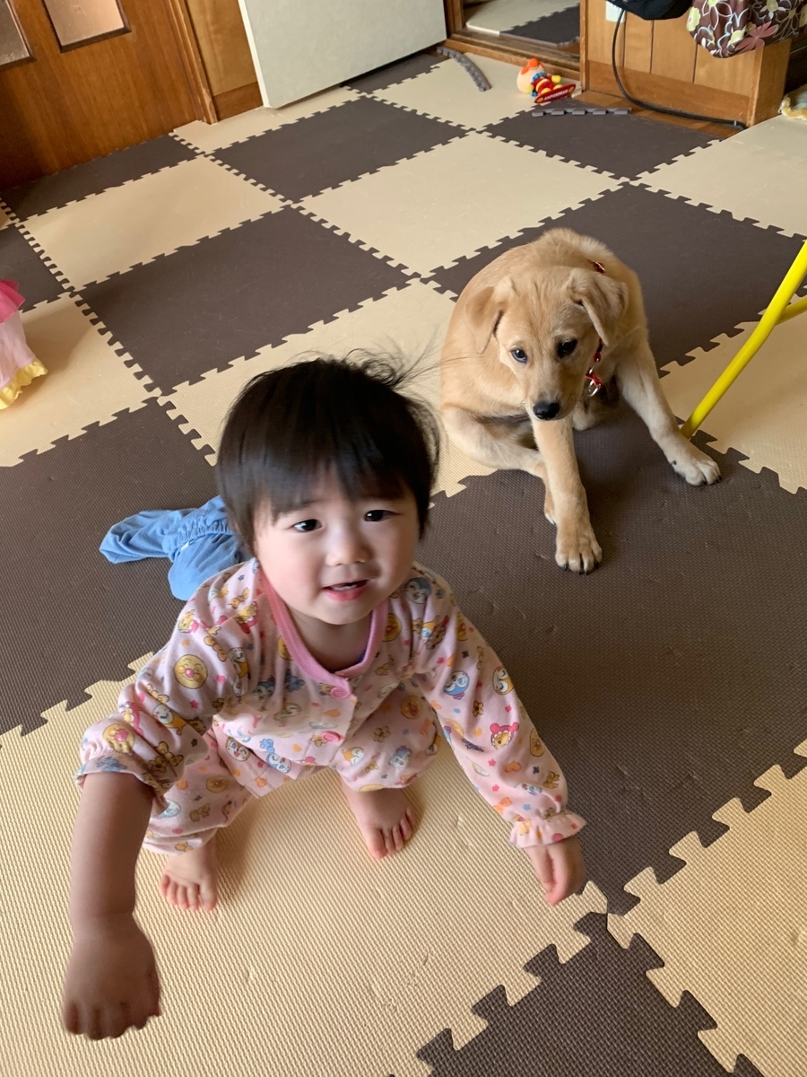 f:id:zion_hamanaka:20200419131533j:plain f:id:zion_hamanaka:20200419131533j:plain
