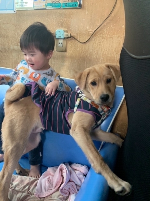 f:id:zion_hamanaka:20200421085626j:plain f:id:zion_hamanaka:20200421085626j:plain
