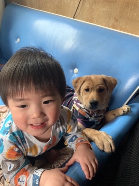 f:id:zion_hamanaka:20200421085636j:plain f:id:zion_hamanaka:20200421085636j:plain