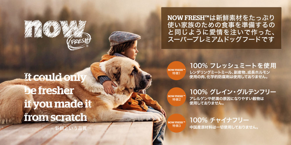 f:id:zion_hamanaka:20200428200752j:plain