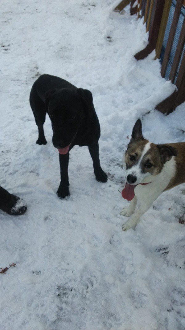 f:id:zion_hamanaka:20200521170435j:plain f:id:zion_hamanaka:20200521170435j:plain