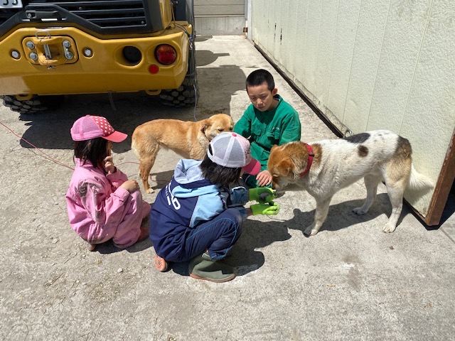 f:id:zion_hamanaka:20200522114352j:plain