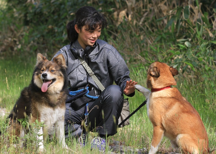 f:id:zion_hamanaka:20200622201056j:plain