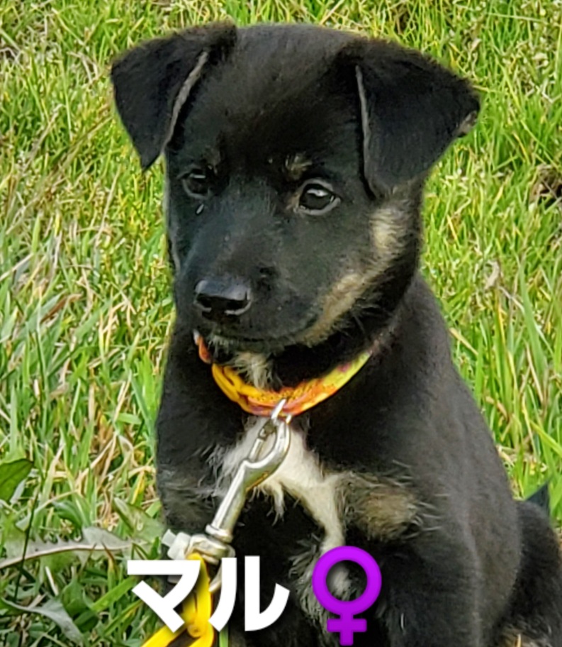 f:id:zion_hamanaka:20200922171029j:plain