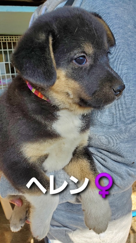 f:id:zion_hamanaka:20200922171335j:plain