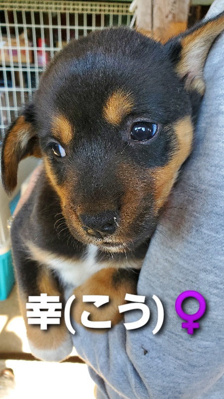 f:id:zion_hamanaka:20200922171353j:plain