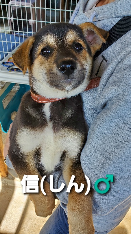 f:id:zion_hamanaka:20200922171416j:plain