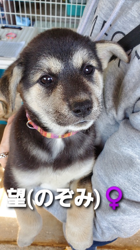 f:id:zion_hamanaka:20200922171438j:plain