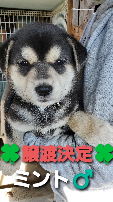 f:id:zion_hamanaka:20200925230706j:plain f:id:zion_hamanaka:20200925230706j:plain