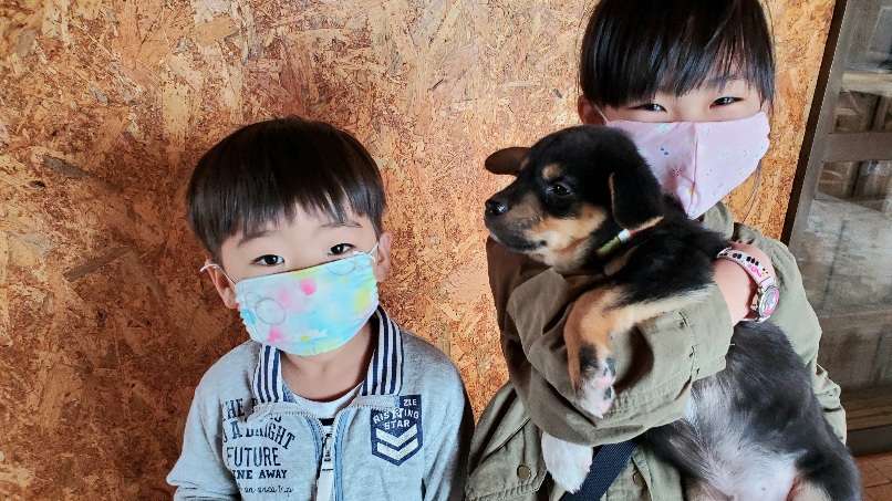f:id:zion_hamanaka:20200929145459j:plain
