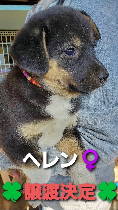 f:id:zion_hamanaka:20200929154327j:plain