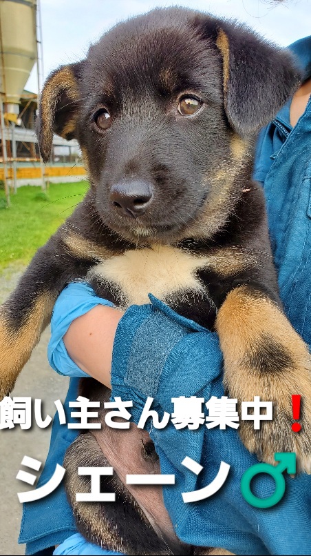 f:id:zion_hamanaka:20200929154402j:plain