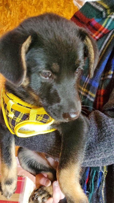 f:id:zion_hamanaka:20201011121800j:plain