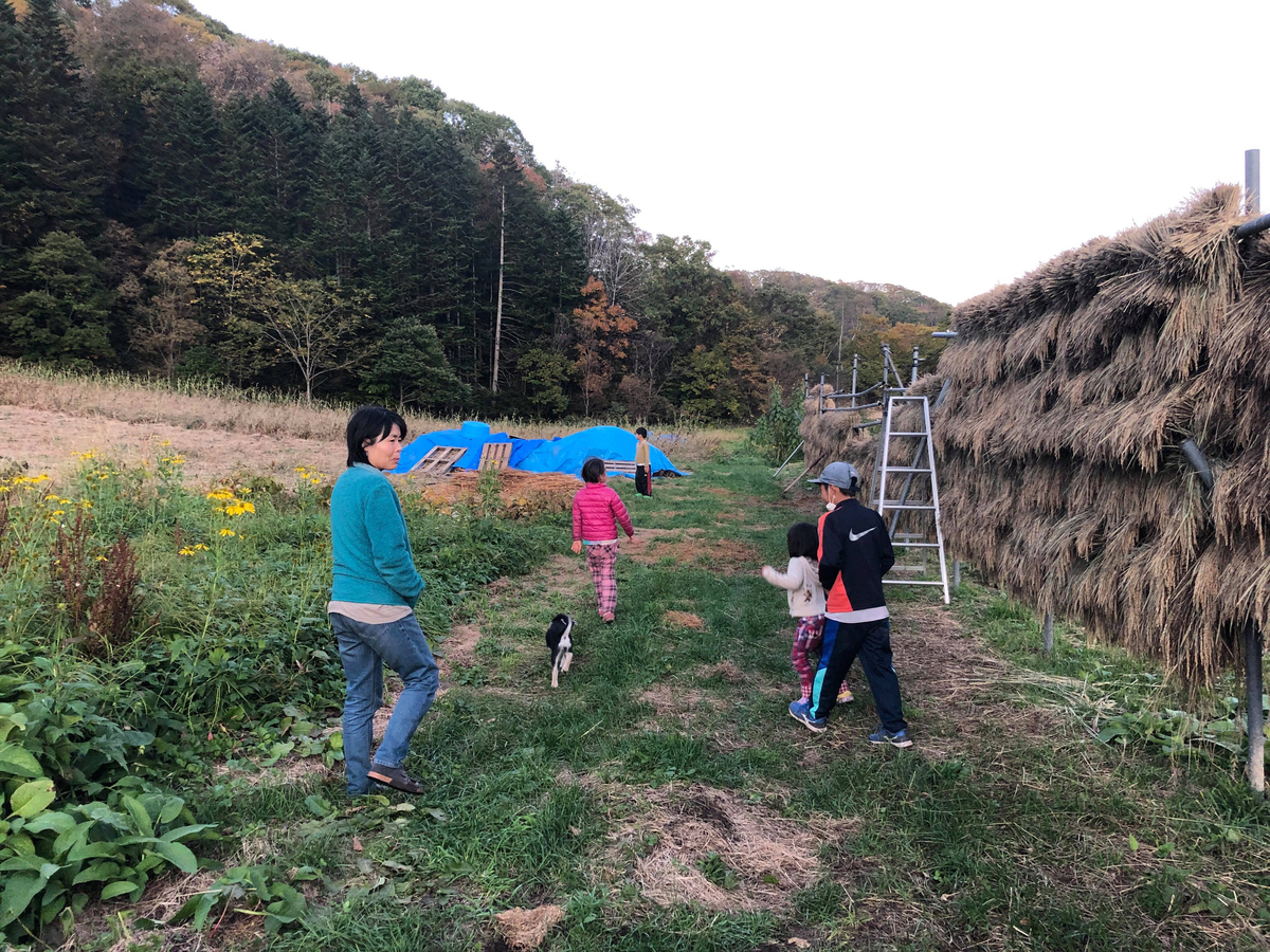 f:id:zion_hamanaka:20201019063657j:plain