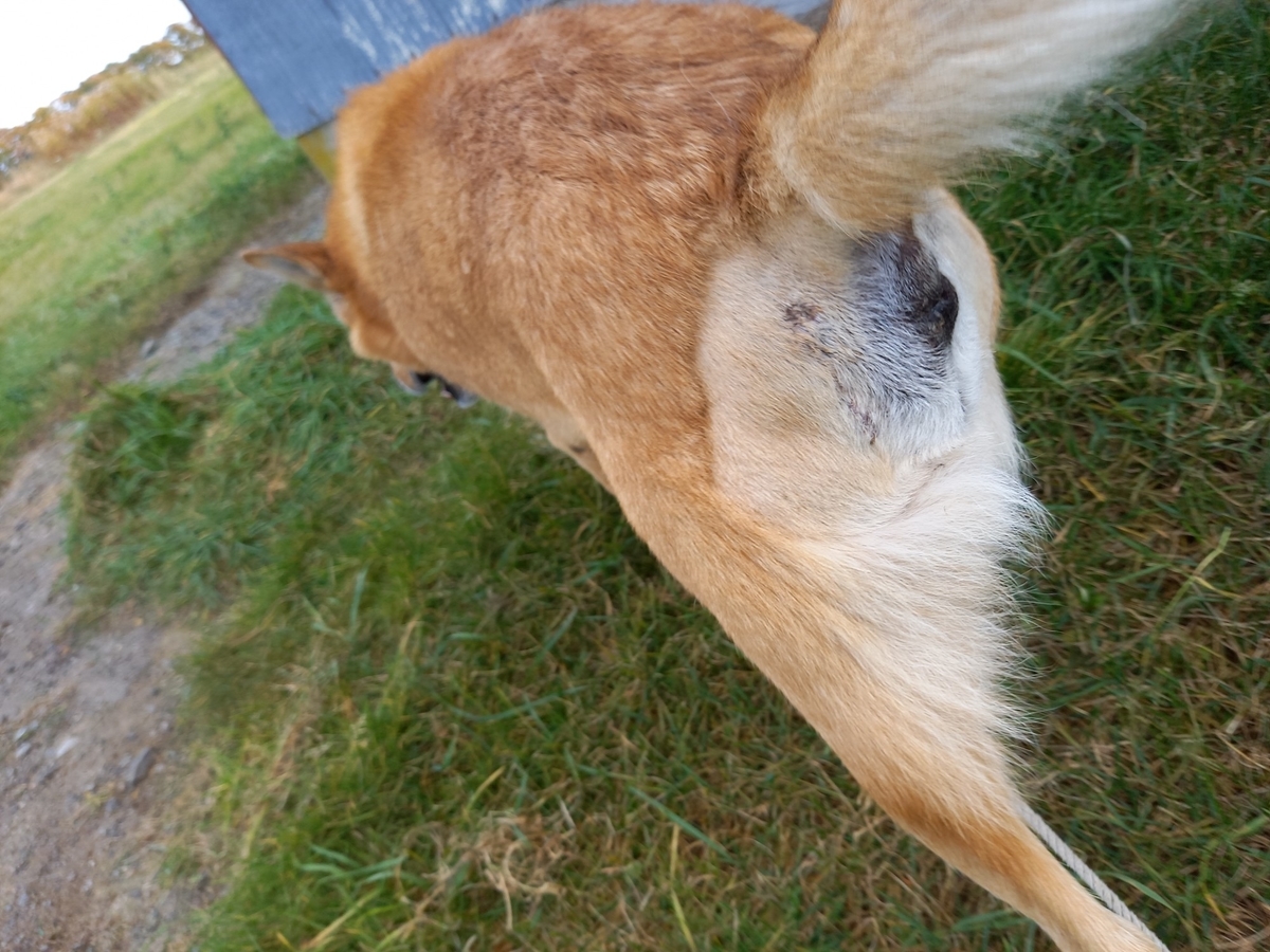 f:id:zion_hamanaka:20201022200005j:plain