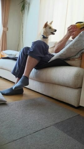 f:id:zion_hamanaka:20201024175755j:plain