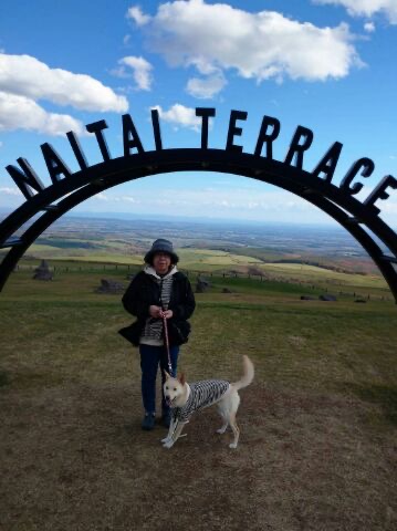 f:id:zion_hamanaka:20201024175756j:plain