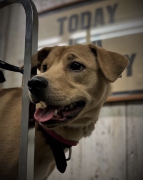 f:id:zion_hamanaka:20201025112912j:plain