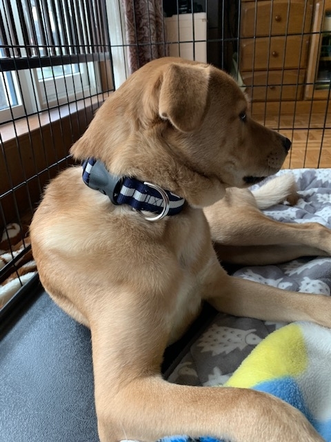 f:id:zion_hamanaka:20201025113130j:plain