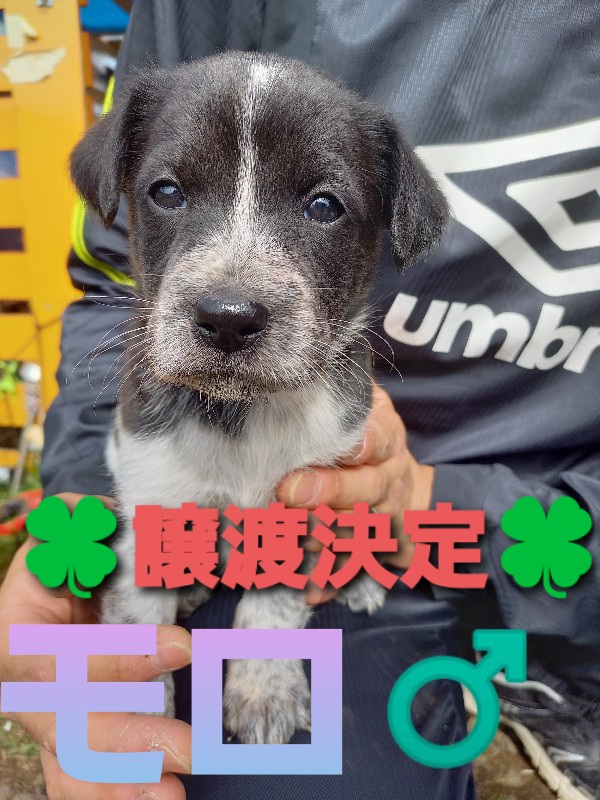 f:id:zion_hamanaka:20201029215607j:plain f:id:zion_hamanaka:20201029215607j:plain