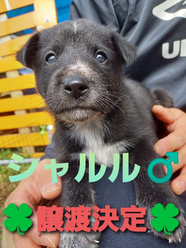 f:id:zion_hamanaka:20201029215646j:plain f:id:zion_hamanaka:20201029215646j:plain