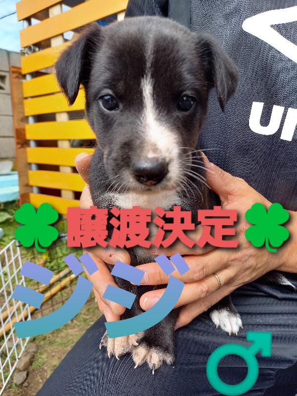 f:id:zion_hamanaka:20201029215706j:plain f:id:zion_hamanaka:20201029215706j:plain