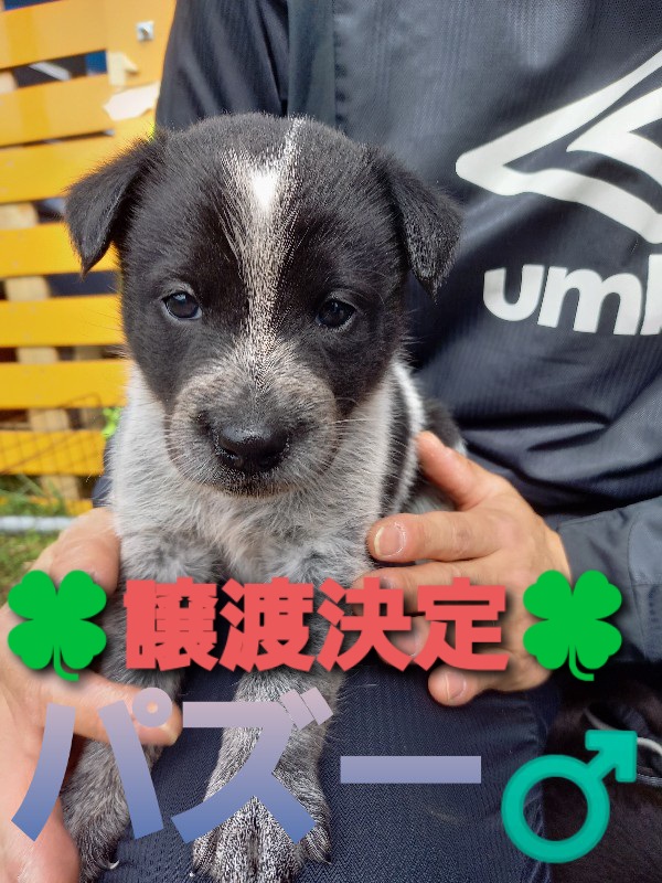 f:id:zion_hamanaka:20201029215726j:plain f:id:zion_hamanaka:20201029215726j:plain