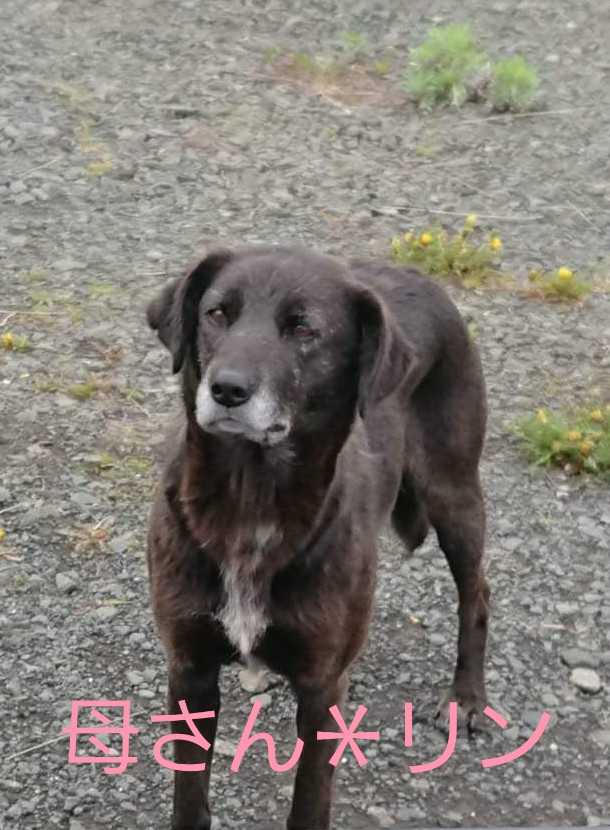 f:id:zion_hamanaka:20201029215749j:plain f:id:zion_hamanaka:20201029215749j:plain