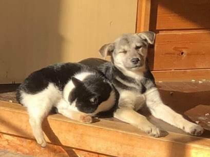 f:id:zion_hamanaka:20201115160432j:plain