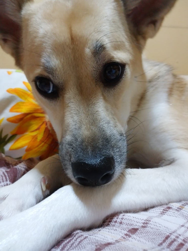 f:id:zion_hamanaka:20201210074501j:plain