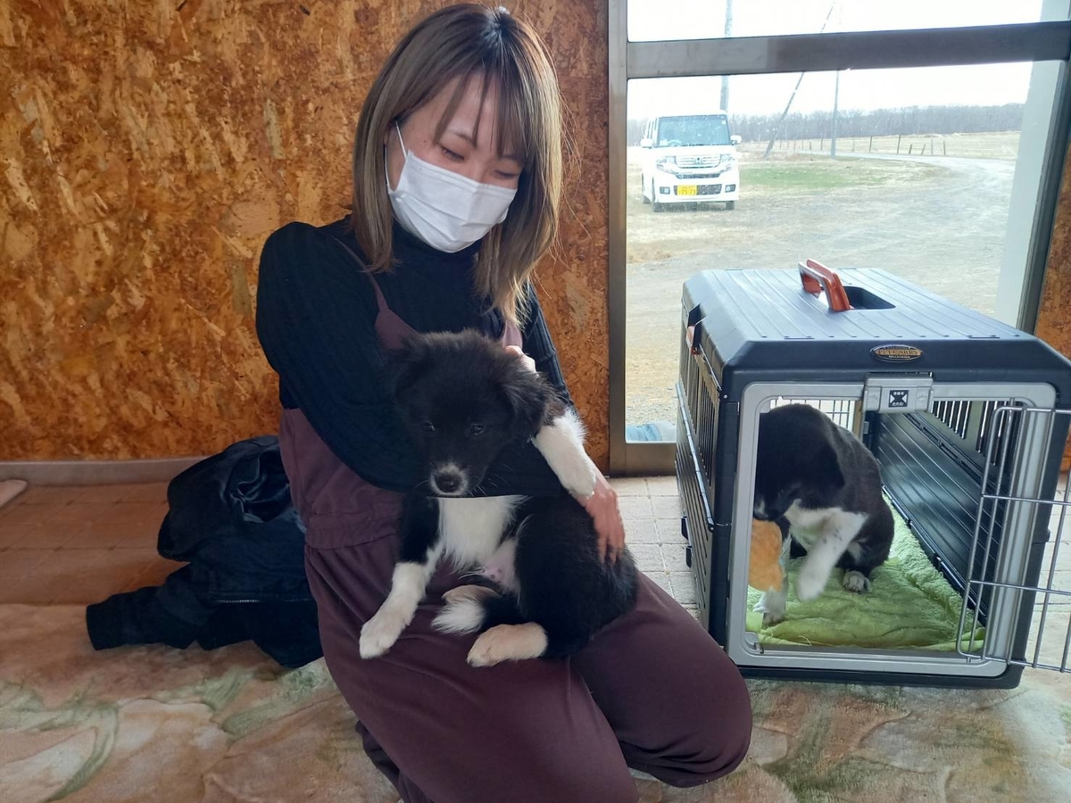 f:id:zion_hamanaka:20210415224519j:plain