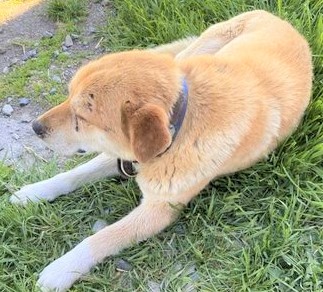 f:id:zion_hamanaka:20210720140401j:plain