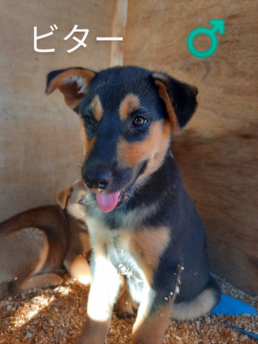 f:id:zion_hamanaka:20210811141848j:plain
