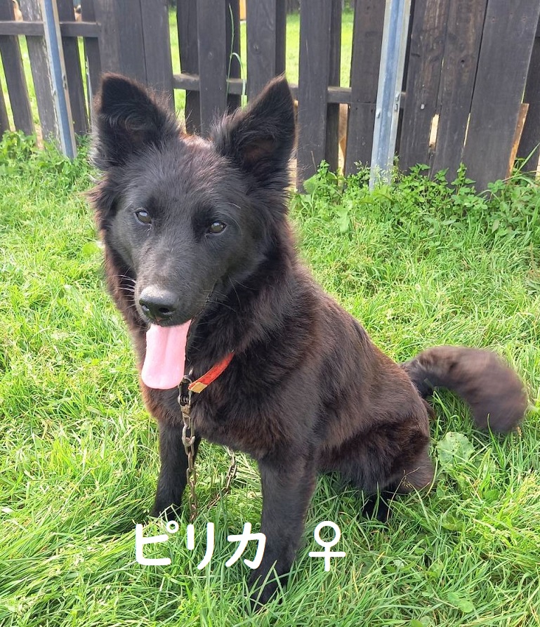 f:id:zion_hamanaka:20210828200100j:plain