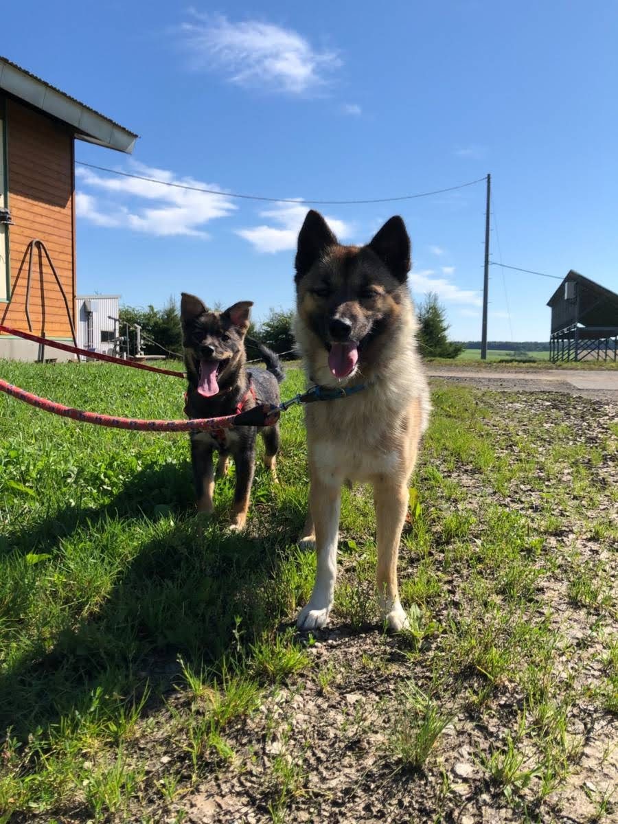 f:id:zion_hamanaka:20210831232514j:plain