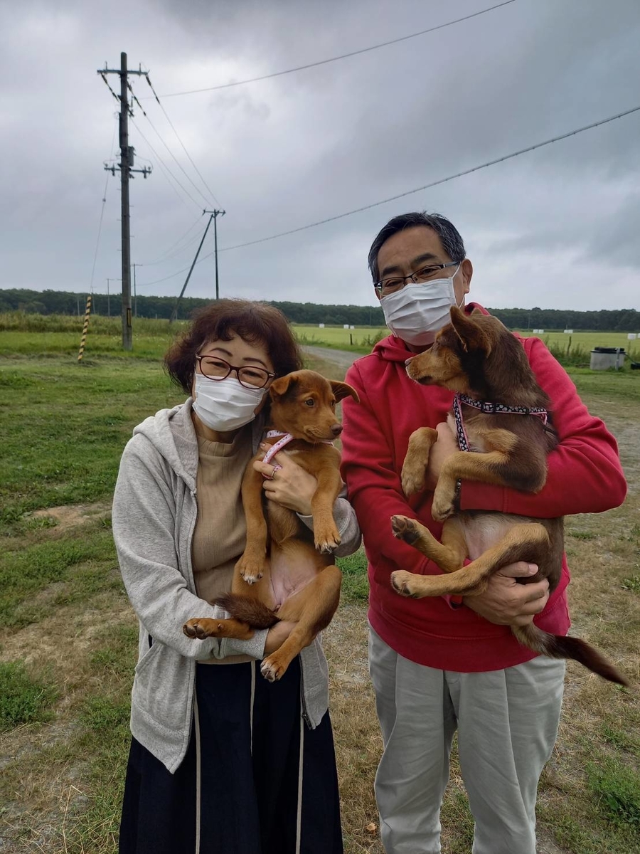 f:id:zion_hamanaka:20210907224605j:plain