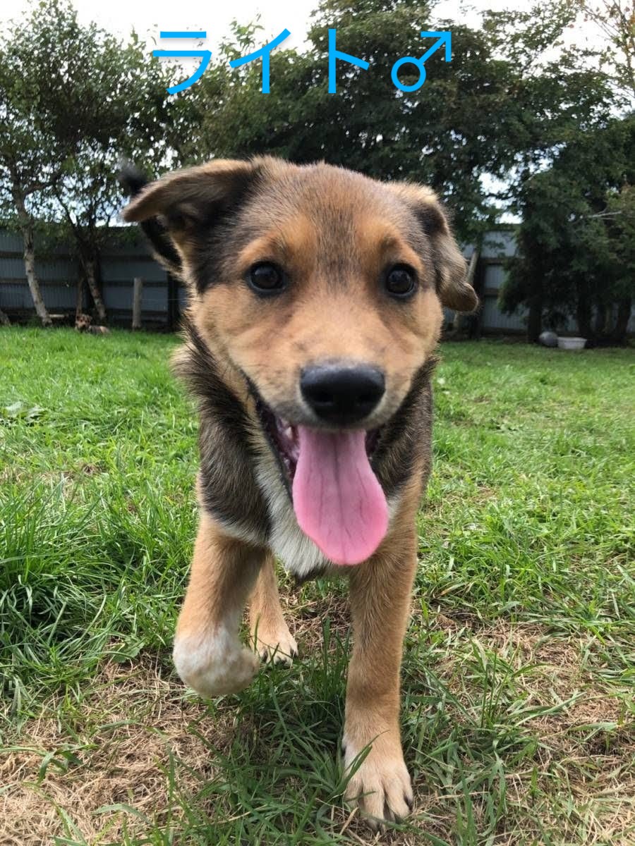 f:id:zion_hamanaka:20210907230336j:plain