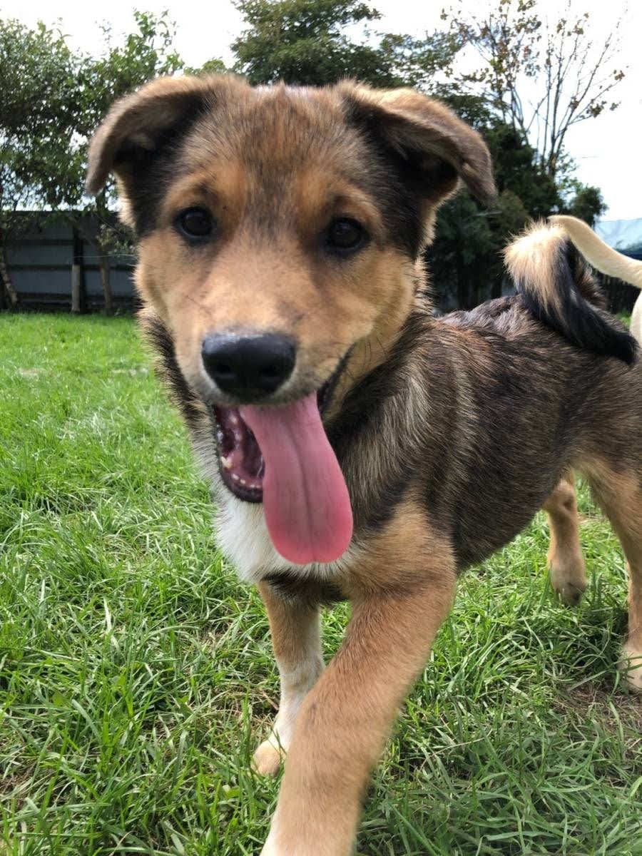 f:id:zion_hamanaka:20210907233617j:plain