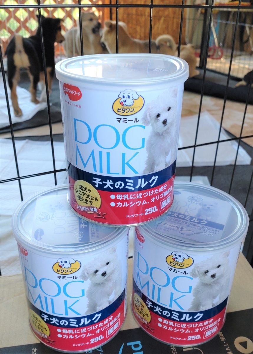 f:id:zion_hamanaka:20211017154108j:plain