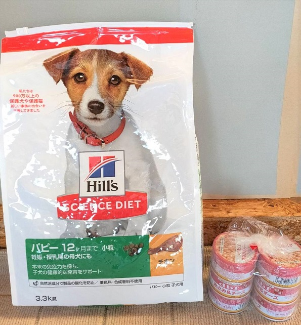 f:id:zion_hamanaka:20211105101244j:plain