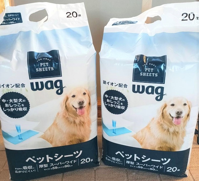 f:id:zion_hamanaka:20211105101259j:plain